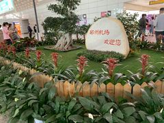 -郑州新郑国际机场