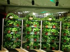 -乐道好声音量贩式KTV(北行店)