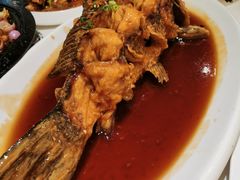 老济南糖醋鲤鱼-金春禧·鲁菜海鲜(延吉路万达店)