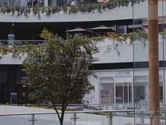 -BeauTea水仙(coco park店)