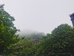 -老张烤羊(王哥庄店)