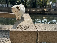-西园寺