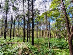 -白草畔自然风景区