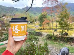 -塔川景区