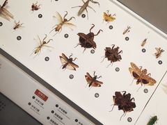 -四川大学博物馆