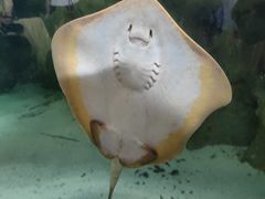 -珠海长隆海洋王国