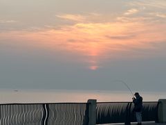 -星光岛