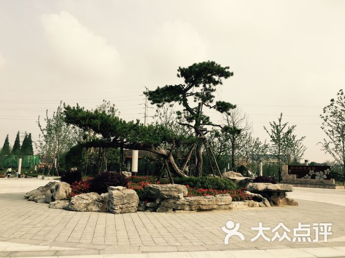 扬州半岛公园图片