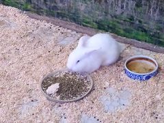 -上海大自然野生昆虫馆(东方明珠·爬宠昆虫探索中心)