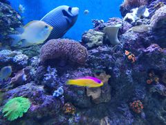 -成都浩海立方海洋公园