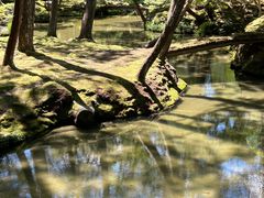 -西芳寺(苔寺)
