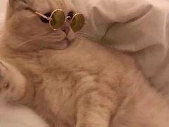 -溢仙茶(中防万宝城店)