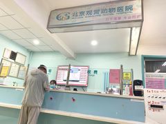 -北京观赏动物医院·24小时大型综合·猫专科·异宠专科