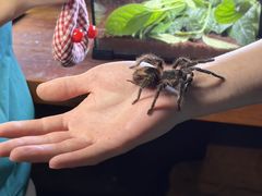 -重庆欢乐海底世界