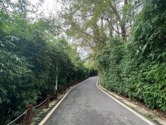 -贵阳市花溪国家城市湿地公园