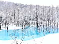 -青池