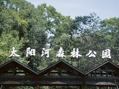 -普洱太阳河森林公园