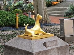 -西安电影制片厂