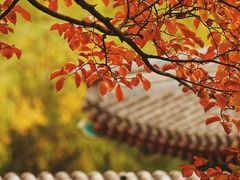 -颐和园