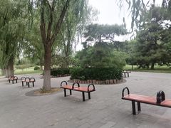 -莲花池公园