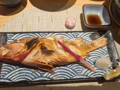 -琴寿司居酒屋(中山广场店)