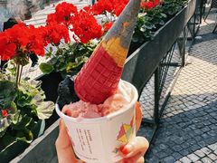 -柠檬车露(卖草地店)