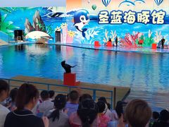 -北戴河圣蓝海洋公园