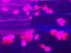 -南昌海洋公园