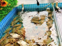 -渡海小渔村.老辈日照菜
