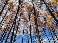 -硗碛藏寨·神木垒景区