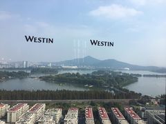 -湖景知味西餐厅•自助餐• 轻食(南京金茂威斯汀大酒店)