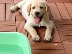 -佳雯宠物医院(四明中路分院)