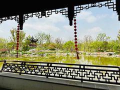 -上海滨江森林公园