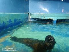 -太平洋海底世界