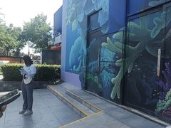 -海合安武汉极地海洋公园