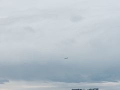-台场海滨公园船码头
