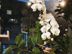-弗劳尔花艺坊(龙涛店)