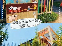 -前小桔亲子创意农场·草莓采摘·露营烧烤