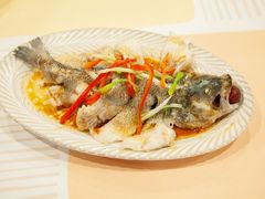 -田螺阿姨自营月嫂·育儿嫂(高新店)