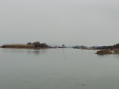 -苏州太湖湖滨国家湿地公园