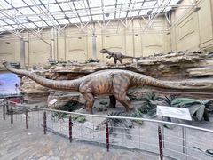 -国家自然博物馆