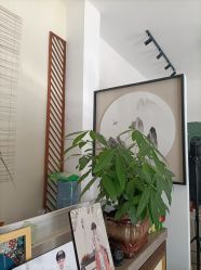 -后宫·古装汉服京剧儿童亲子全家福摄影