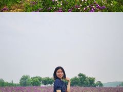 -台儿庄古城
