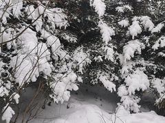 -秦岭风景区
