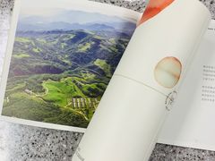 -新世界百货(明洞总店)