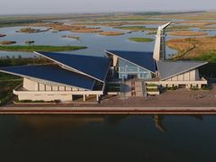 -盐城丹顶鹤湿地生态旅游区