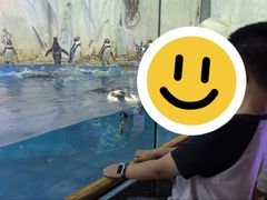 -太平洋海底世界