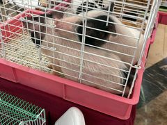 -万达广场(无锡滨湖店)