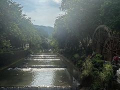 -广州白江湖森林公园