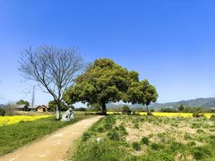 -良渚古城遗址公园
